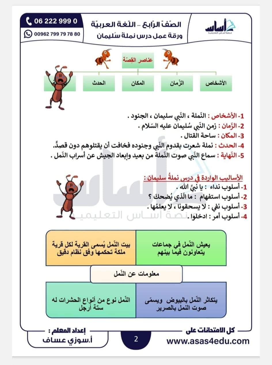 MTMwNjA0MC4yOTc2 بالصور شرح و تلخيص درس نملة سليمان مادة اللغة العربية للصف الرابع الفصل الاول 2023